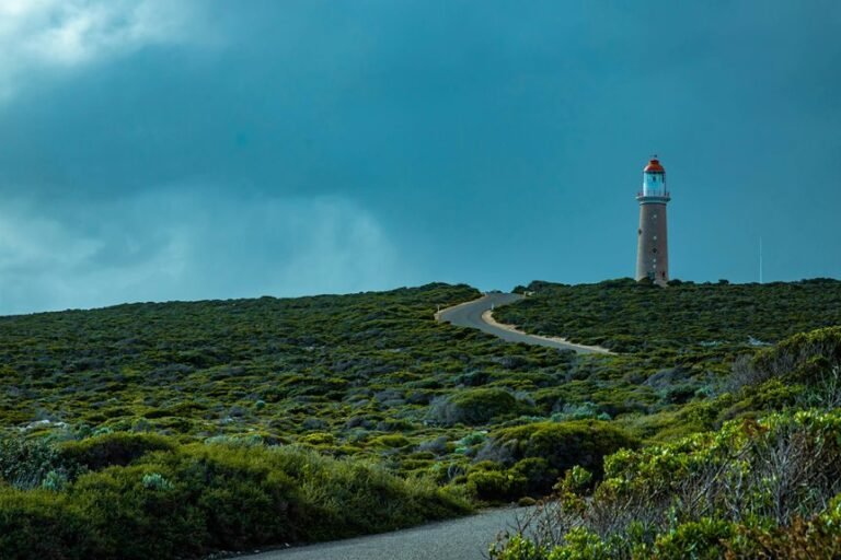 competitive expansion forecast guide