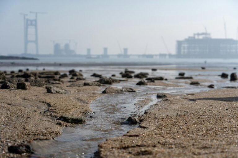 industry expansion vector analysis