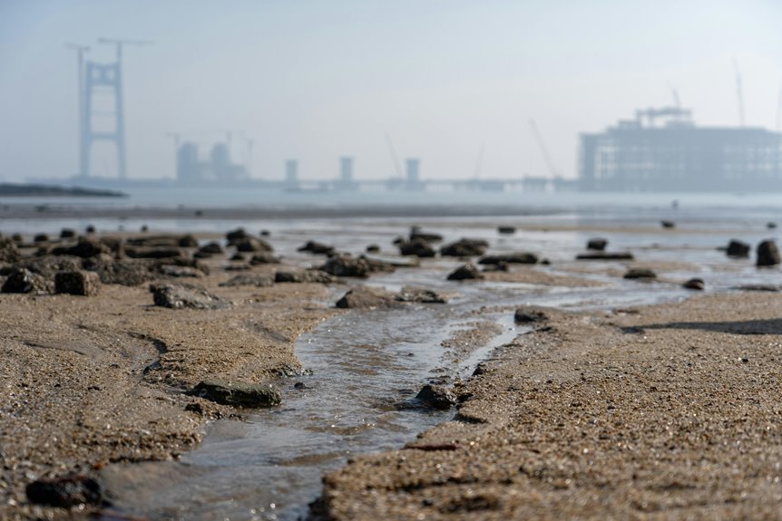 industry expansion vector analysis